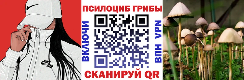 Псилоцибиновые грибы GOLDEN TEACHER  Горячий Ключ 