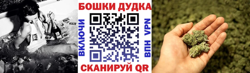 Шишки марихуана сатива Горячий Ключ
